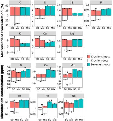 The acquisition of macro- and micronutrients is synergistic in species mixtures: example of mixed crucifer-legume cover crops